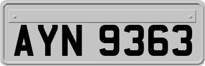 AYN9363