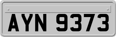 AYN9373