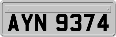 AYN9374