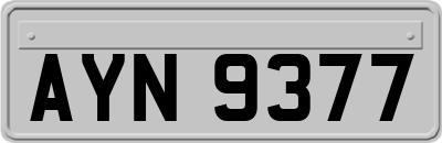 AYN9377