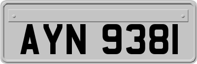 AYN9381