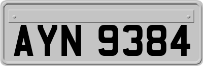 AYN9384
