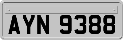 AYN9388