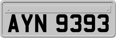 AYN9393
