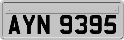 AYN9395