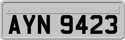 AYN9423