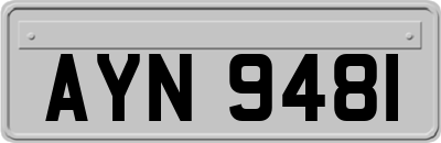 AYN9481