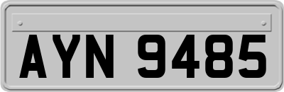 AYN9485