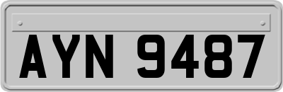AYN9487