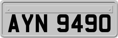 AYN9490