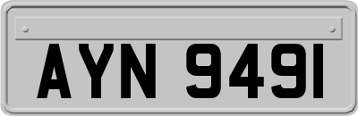 AYN9491