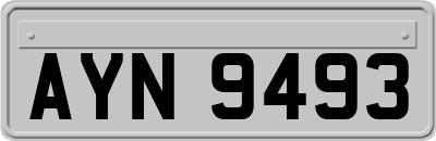 AYN9493