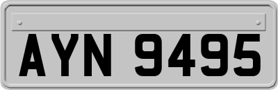 AYN9495