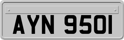 AYN9501