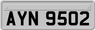 AYN9502
