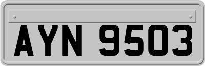 AYN9503