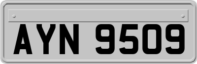 AYN9509