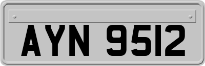 AYN9512