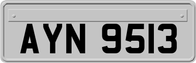 AYN9513
