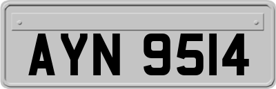 AYN9514