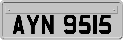 AYN9515