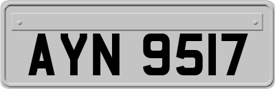 AYN9517