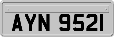 AYN9521