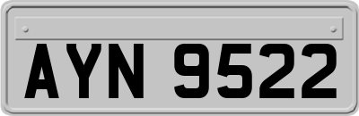 AYN9522