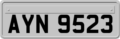AYN9523