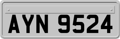 AYN9524