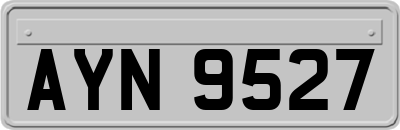 AYN9527