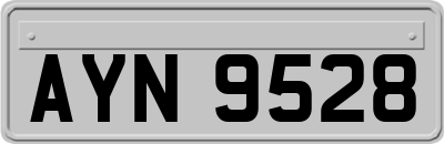 AYN9528
