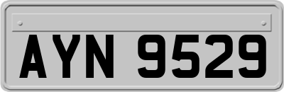 AYN9529