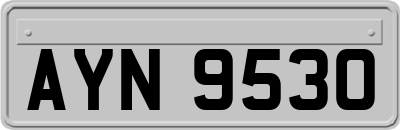 AYN9530