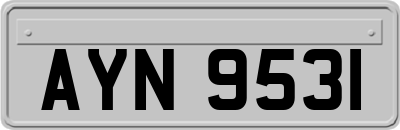 AYN9531