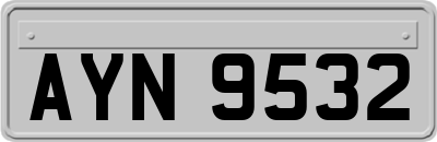 AYN9532