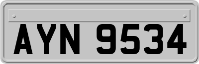 AYN9534
