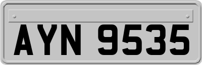AYN9535