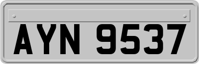 AYN9537