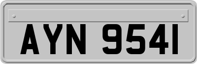 AYN9541