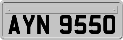 AYN9550