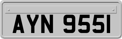 AYN9551