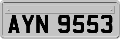 AYN9553