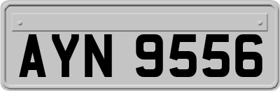 AYN9556