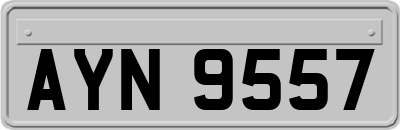 AYN9557