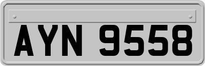 AYN9558