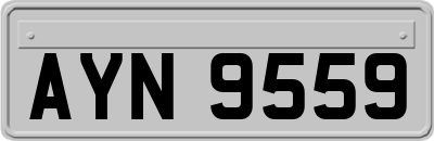 AYN9559
