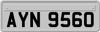 AYN9560