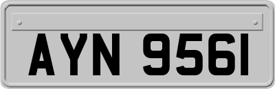AYN9561