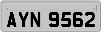 AYN9562